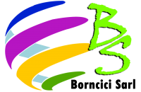 Borncici Stock Management logo